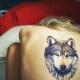 Farkas tetoválás jelentése srácok a karján