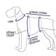 A ruhák és cipők kötésének finomságai kutyáknak Barkácsolj magaddal kötött overall egy kis kutyának